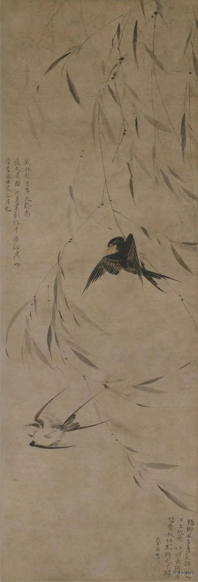 图片5 (3).png