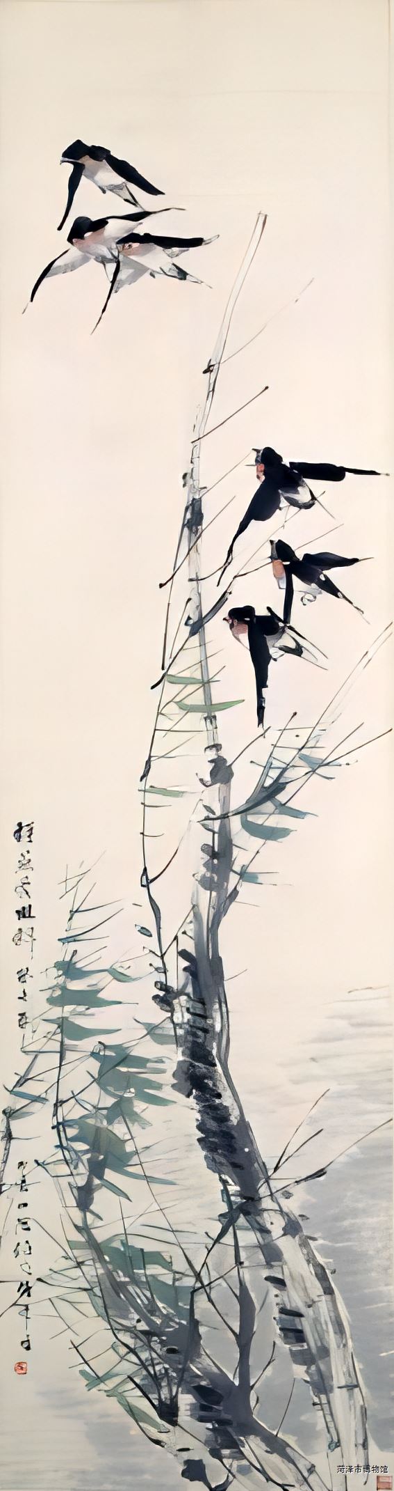 图片7 (3).png